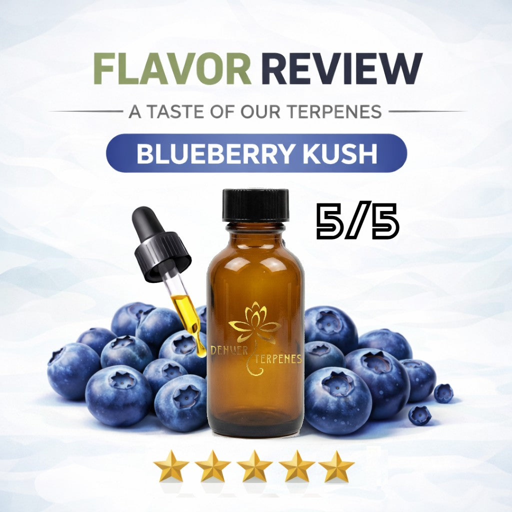 Blueberry Kush – Professional-  Grade Botanical Terpene Blend