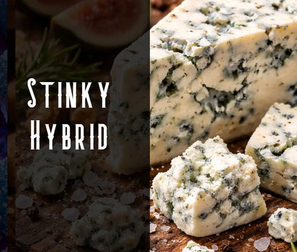 Cheese Terpene Blend Denver Terpenes Shop