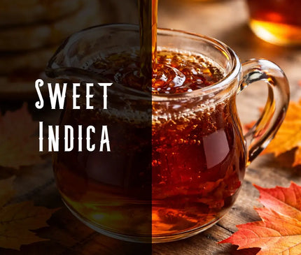 Maple Syrup Terpene Blend Denver Terpenes Shop