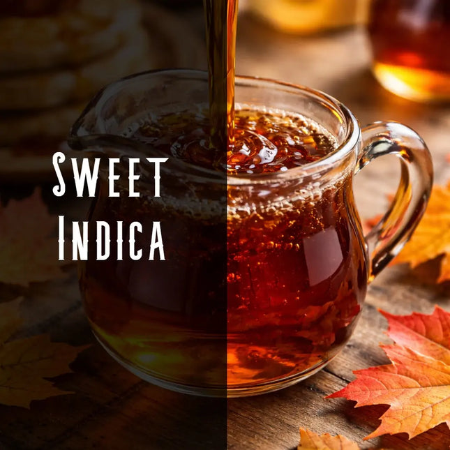 Maple Syrup Terpene Blend Denver Terpenes Shop