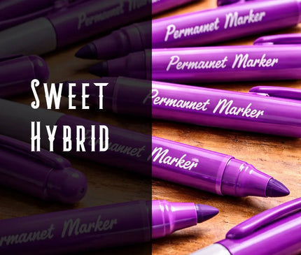 Permanent Marker Terpene Blend Denver Terpenes Shop