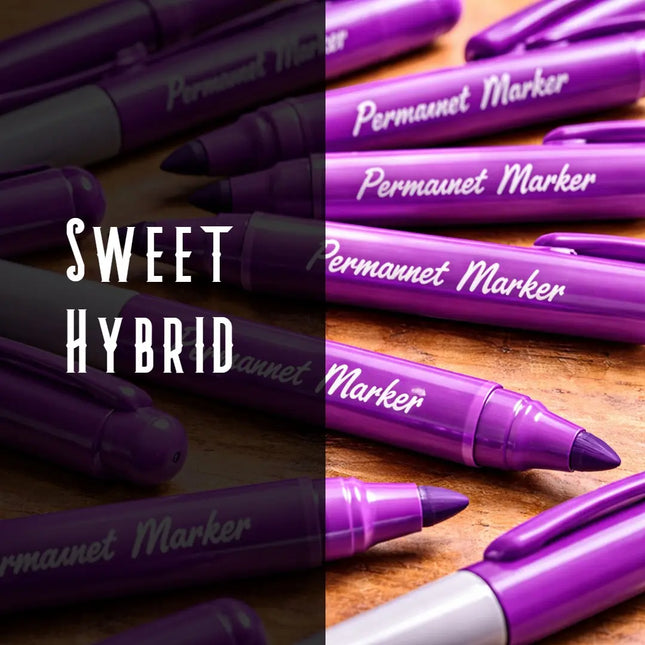 Permanent Marker Terpene Blend Denver Terpenes Shop