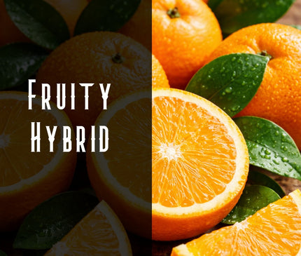 Agent Orange Terpene Blend