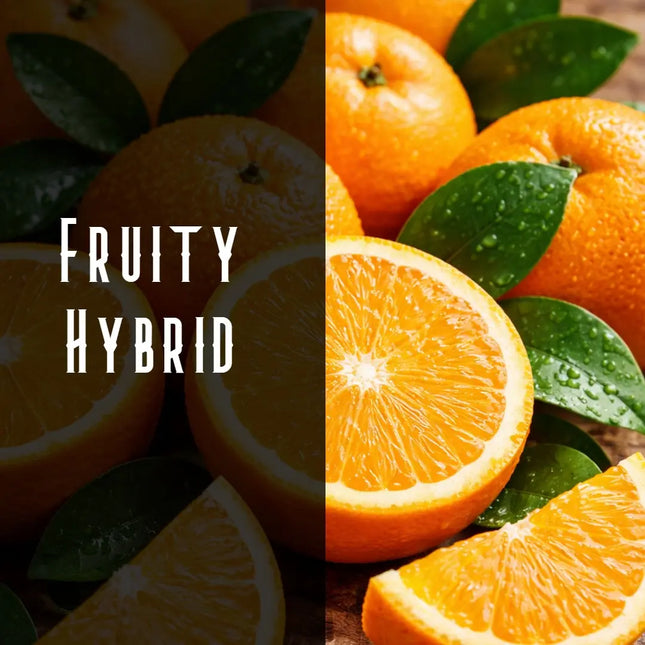 Agent Orange Terpene Blend Denver Terpenes Shop