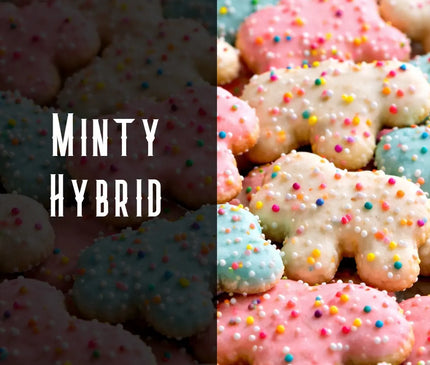 Animal Mints Terpene Blend Denver Terpenes Shop