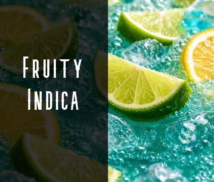 Baja Splash Terpene Blend Denver Terpenes Shop