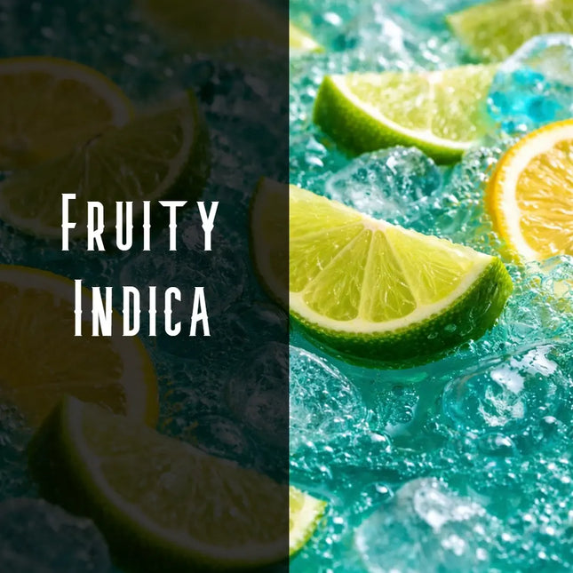 Baja Splash Terpene Blend Denver Terpenes Shop