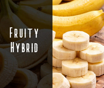 Banana Kush Terpene Blend Denver Terpenes Shop