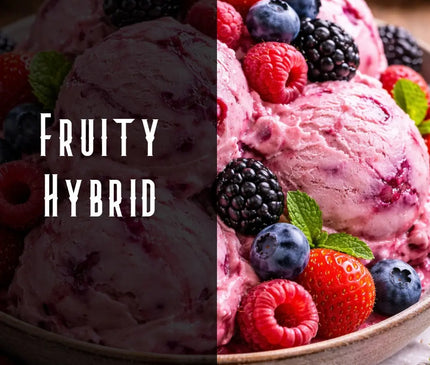 Berry Gelato Terpene Blend Denver Terpenes Shop