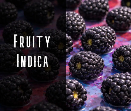 Blackberry Kush Terpene Blend Denver Terpenes Shop