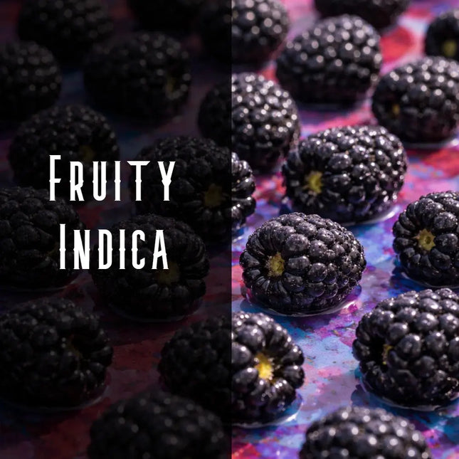 Blackberry Kush Terpene Blend Denver Terpenes Shop