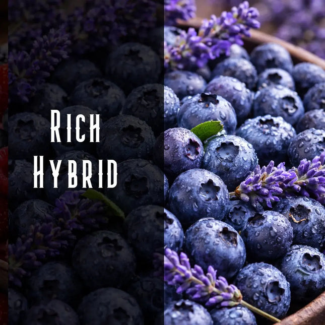 Blue Dream Terpene Blend Denver Terpenes Shop