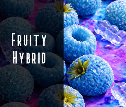 Blue Razz Terpene Blend Denver Terpenes Shop