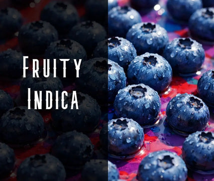 Blueberry Kush Terpene Blend Denver Terpenes Shop