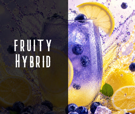 Blueberry Lemonade Terpene Blend Denver Terpenes Shop
