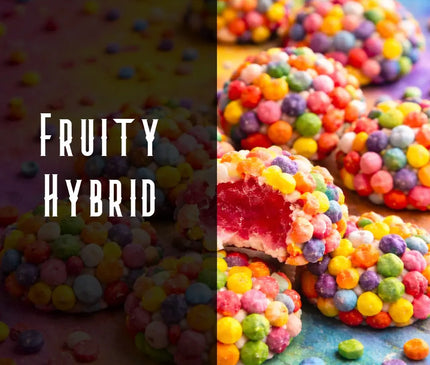 Bubble Runtz Terpene Blend Denver Terpenes Shop