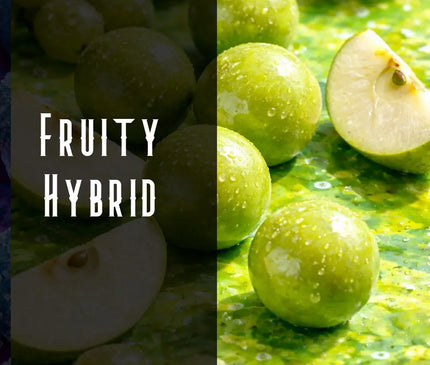 Candy Apple Terpene Blend Denver Terpenes Shop