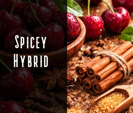 Candy Jack Terpene Blend Denver Terpenes Shop