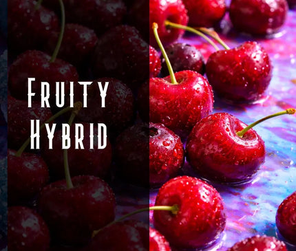 Cherry Diesel Terpene Blend Denver Terpenes Shop