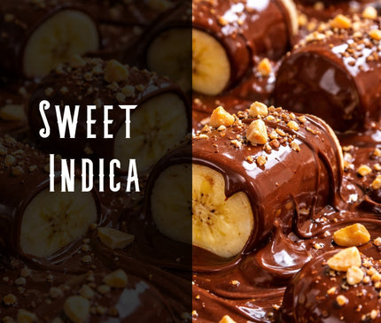 Chocolate Covered Bananas Terpene Blend