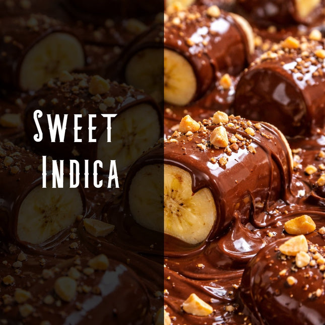 Chocolate Covered Bananas Terpene Blend