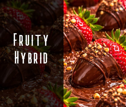Chocolate Covered Strawberries Terpene Blend