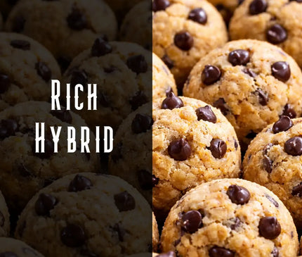 Cookie Dough Terpene Blend Denver Terpenes Shop