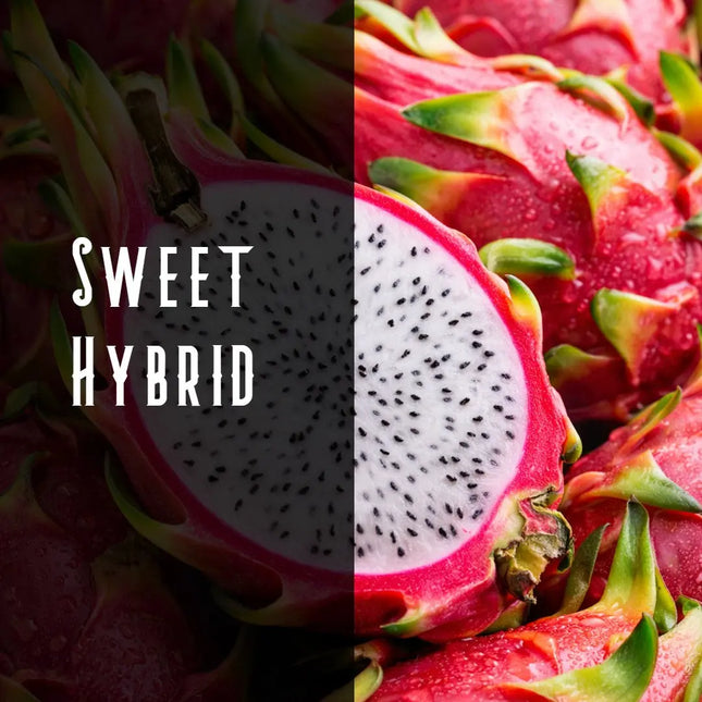 Dragon Berry Terpene Blend Denver Terpenes Shop