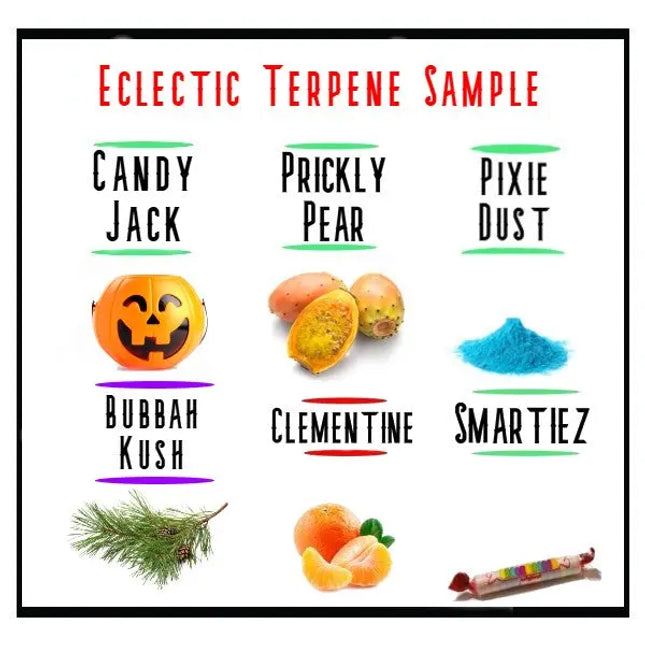 Eclectic Sample Pack Denver Terpenes