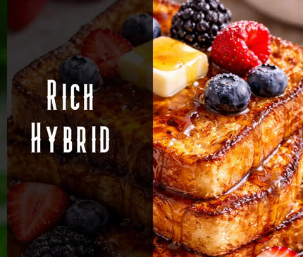 French Toast Terpene Blend Denver Terpenes Shop