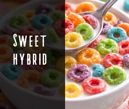 Fruit Loop Terpene Blend Denver Terpenes Shop