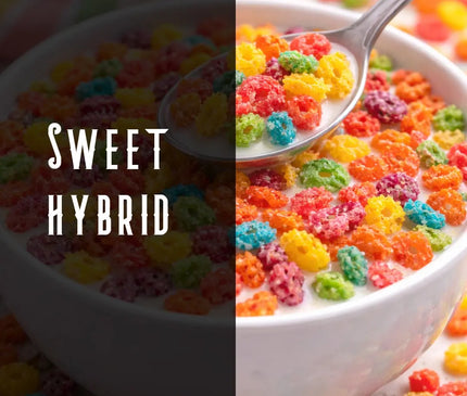 Fruity Pebblez Terpene Blend Denver Terpenes Shop