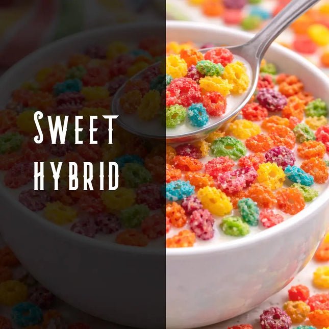 Fruity Pebblez Terpene Blend Denver Terpenes Shop