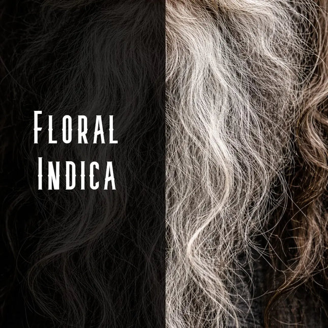 Granddaddy Purple Terpene Blend Denver Terpenes Shop