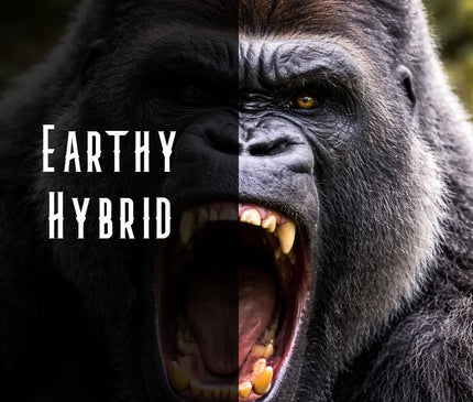 GG #4 Terpene Blend Denver Terpenes Shop