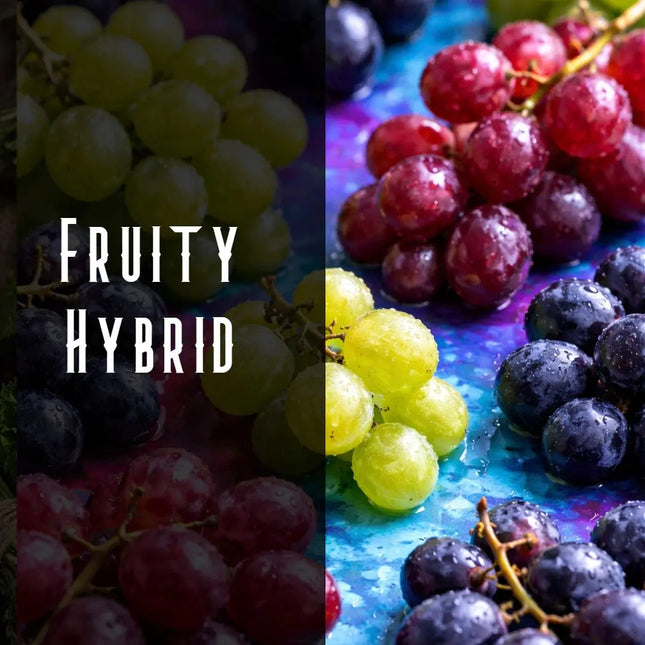 Grape Stomper Terpene Blend Denver Terpenes Shop