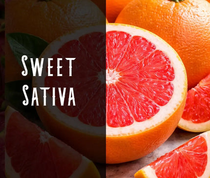 Grapefruit Haze Terpene Blend Denver Terpenes Shop