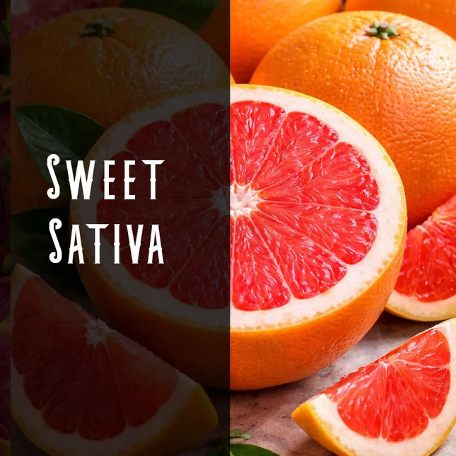 Grapefruit Haze Terpene Blend Denver Terpenes Shop