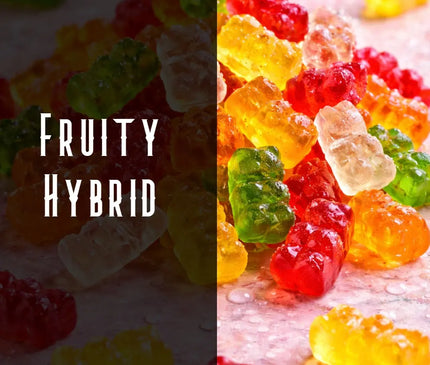 Gummy Bear Terpene Blend Denver Terpenes Shop