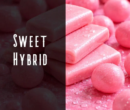 Head Band Terpene Blend Denver Terpenes Shop