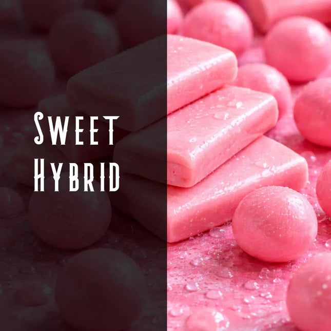 Head Band Terpene Blend Denver Terpenes Shop