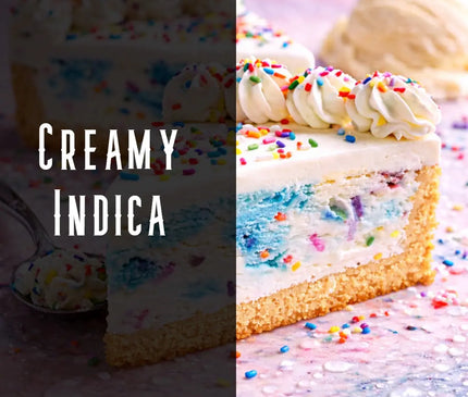 Ice Cream Cake Terpene Blend Denver Terpenes Shop
