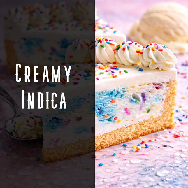 Ice Cream Cake Terpene Blend Denver Terpenes Shop