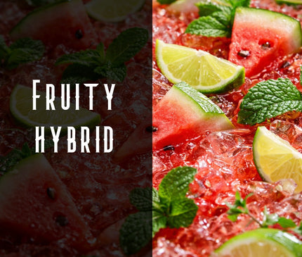 Juicy Froot Terpene Blend