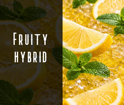 Lemon Cello Terpene Blend