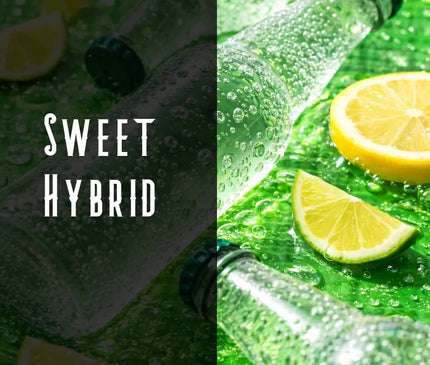 Lemon Lime Terpene Blend Denver Terpenes Shop