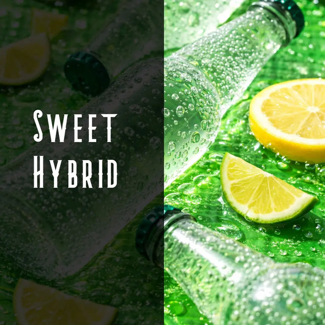Lemon Lime Terpene Blend Denver Terpenes Shop