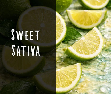 Lime Haze Terpene Blend Denver Terpenes Shop