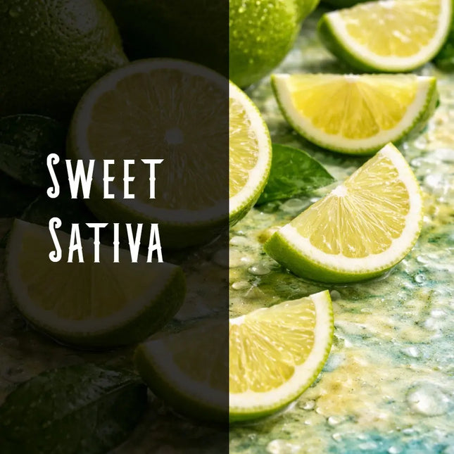 Lime Haze Terpene Blend Denver Terpenes Shop