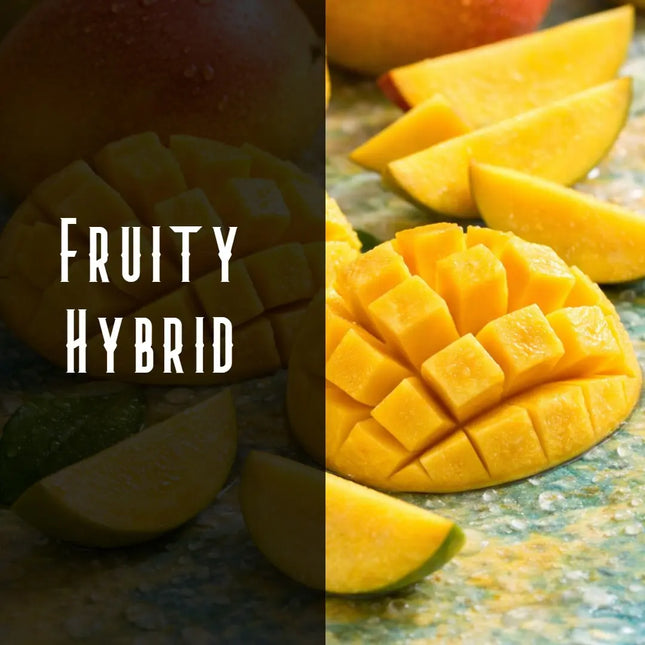 Mango Kush Terpene Blend Denver Terpenes Shop